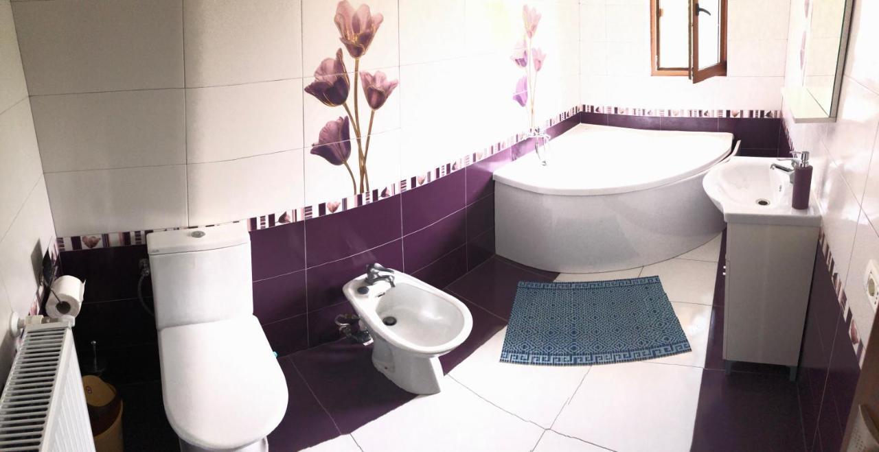 Casa Ardeleana Ucea Otel Ucea de Sus Dış mekan fotoğraf