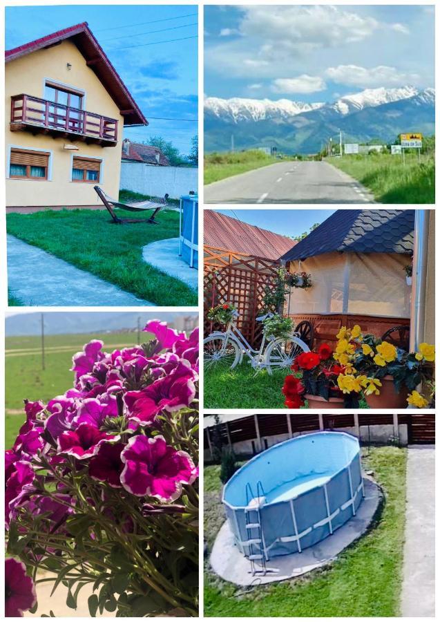 Casa Ardeleana Ucea Otel Ucea de Sus Dış mekan fotoğraf