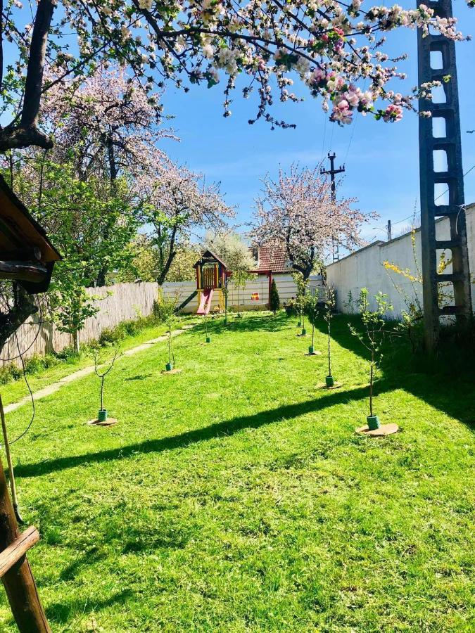 Casa Ardeleana Ucea Otel Ucea de Sus Dış mekan fotoğraf