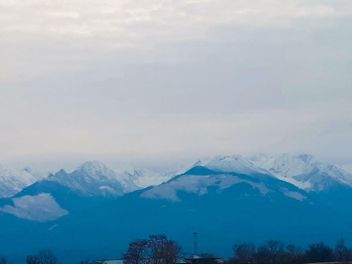 Casa Ardeleana Ucea Otel Ucea de Sus Dış mekan fotoğraf